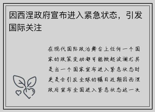 因西涅政府宣布进入紧急状态，引发国际关注